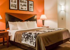Sleep Inn Pelham Oak Mountain - Пелхем - Спальня