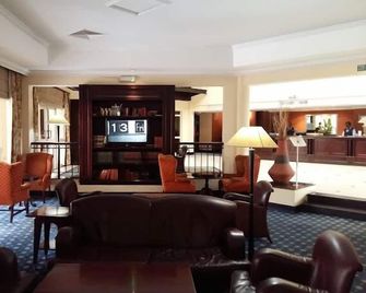 Oakwood Park Hotel Lekki - Lagos - Lounge