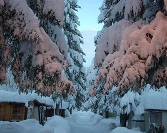 Campodolcino Camping - Motta