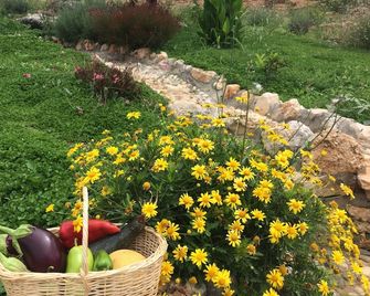 Ambar Evleri - Kalkan