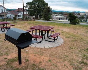 Newly Renovated 1 Bedroom apartment in uptown - safe - walkable - Martinsville