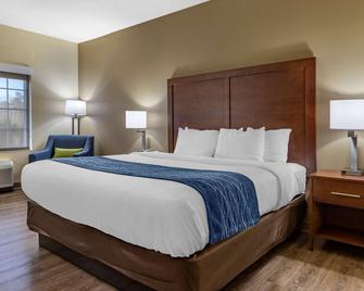 Comfort Inn and Suites High Point - Archdale - Archdale - Bedroom