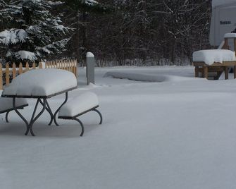 Birchwood Resort & Campground - Cadillac - Binnenhof