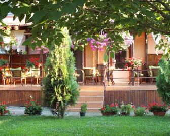 Pension Larisa - Arad - Patio