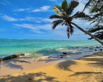 Turtle Beachfront, snorkeling, free parking, wash-dryer in unit, New bigger AC. - Hauula - Beach