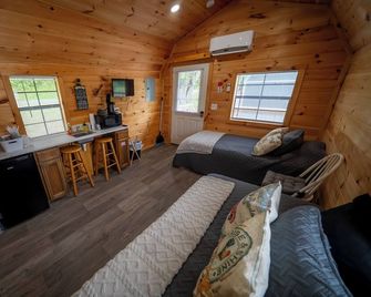1 Room Cabin- ' The Farm House' - Robbinsville - Wohnzimmer
