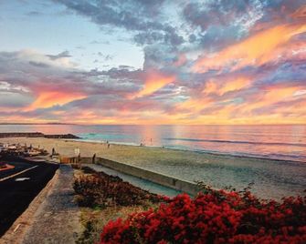 Family Retreat-Beach Oasis: 6 bedrooms, large Yard/garden, - Carlsbad