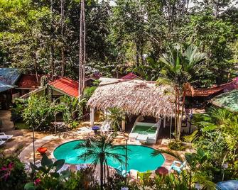 Bambutel Cocles - Puerto Viejo de Talamanca - Pool