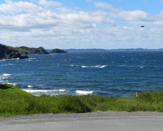 The Viking Vacation Home is your port of Call at Crow Head on Twillingate Island - Twillingate - Beach