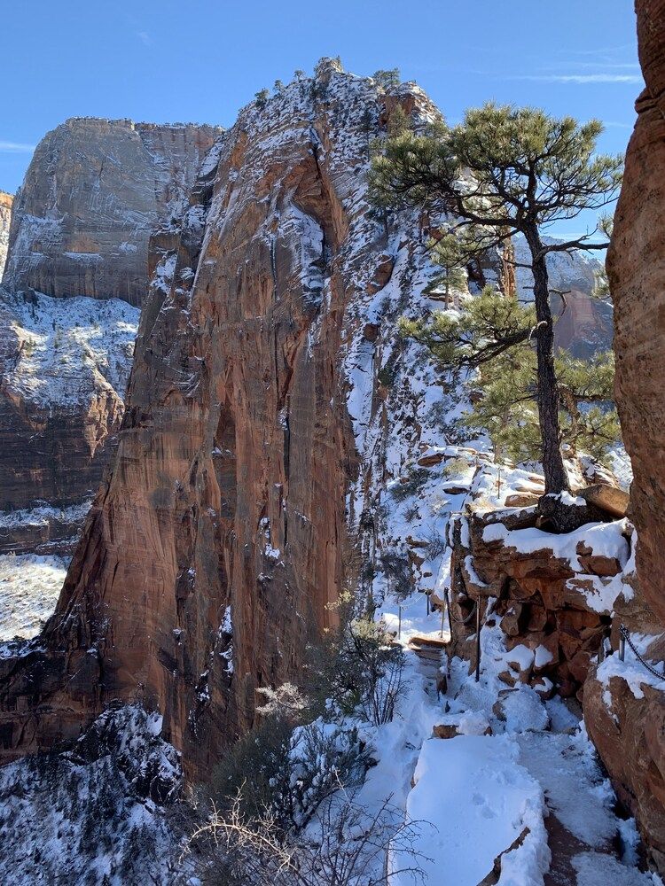 #2 Great Location, Zion National Park Entrance As Close As You Can Get! - Springdale - Edificio