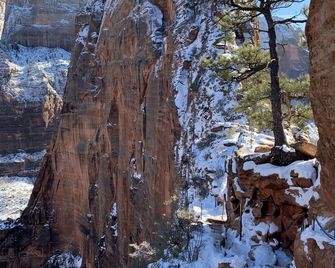 #2 Great Location, Zion National Park Entrance As Close As You Can Get! - Springdale - Edificio