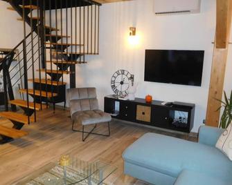 Espace de détente à Colombey avec SPA et jacuzzi - FR-1-611-115 - Colombey-les-Deux-Églises - Obývací pokoj