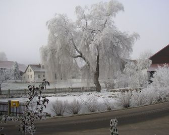 Zur Waldesruh - Obernried - Vista del exterior
