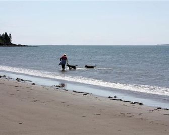 Cozy Waterfront Cottage Rental for Peaceful Island Getaway in Seal Cove, New Brunswick - Grand Manan - Beach