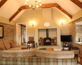 An area of outstanding natural beauty, child and pet friendly , very private! - Puckaun - Living room
