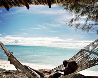 Private Beach House on Incredible Beach - Clarence Town - Beach