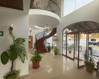 Hotel Pez Vela - מנזניו - לובי