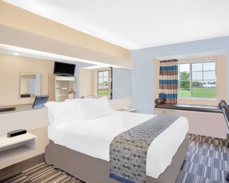 Microtel Inn & Suites by Wyndham Clear Lake - Clear Lake - Schlafzimmer