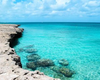 Beach Apartment steps from mangel halto beach - Savaneta - Beach