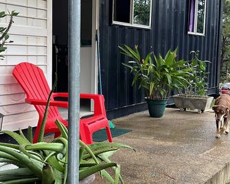 Eco cabaña de Montaña en San Ignacio - San Ignacio - Patio