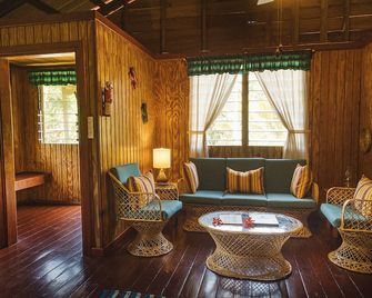 Jaguar Creek - Belmopan - Living room