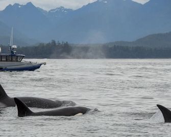 Tofino Resort and Marina - Tofino