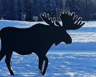 Sneaky Moose Townhome 2br 2ba - Kenai