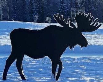 Sneaky Moose Townhome 2br 2ba - Kenai