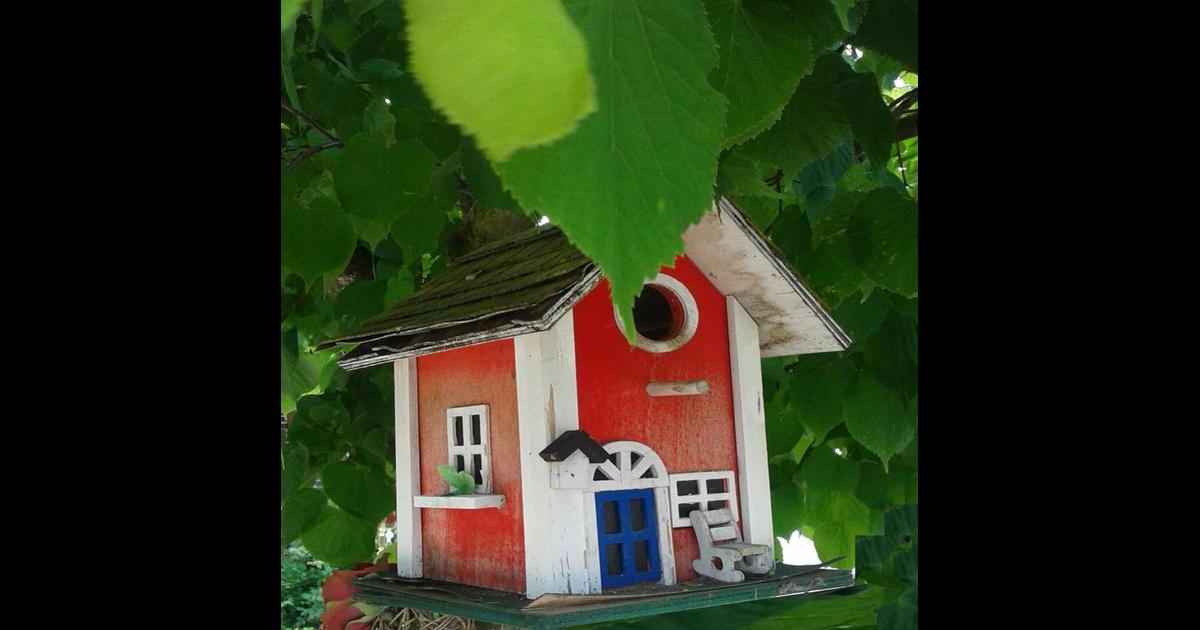Ferienwohnung Holl 76 7 8 Worms Hotel Deals Reviews Kayak