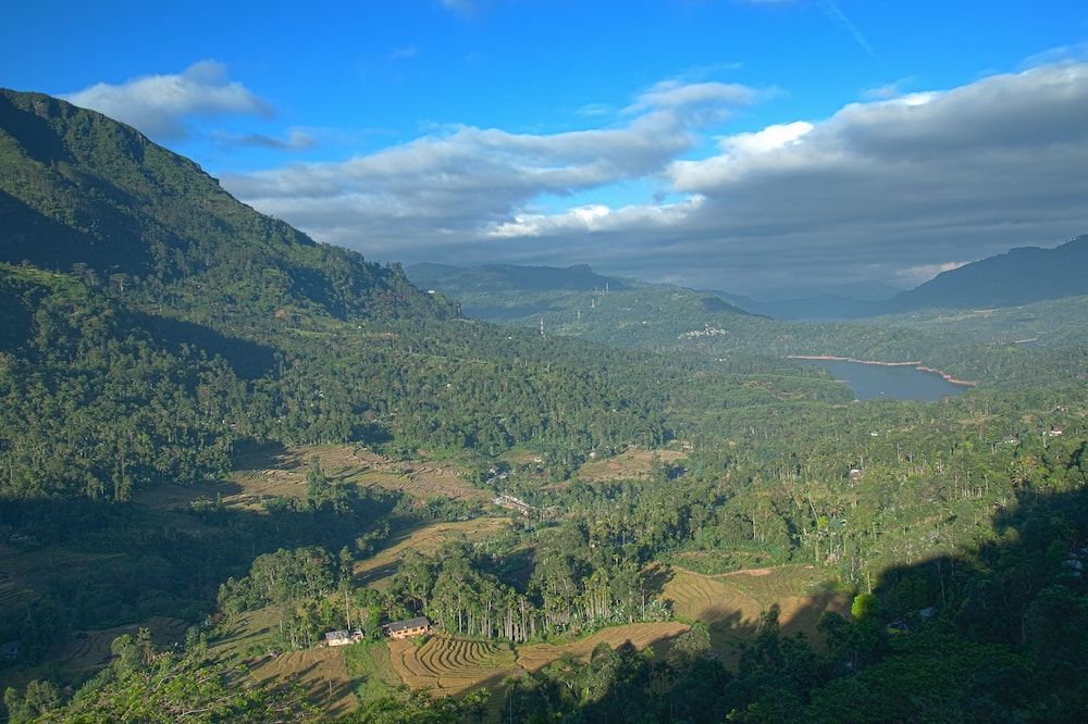 Oak Ray Tea Bush - Nuwara Eliya - Widok na zewnątrz