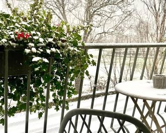 Hôtel Restaurant du Plomb du Cantal - Murat - Balcony