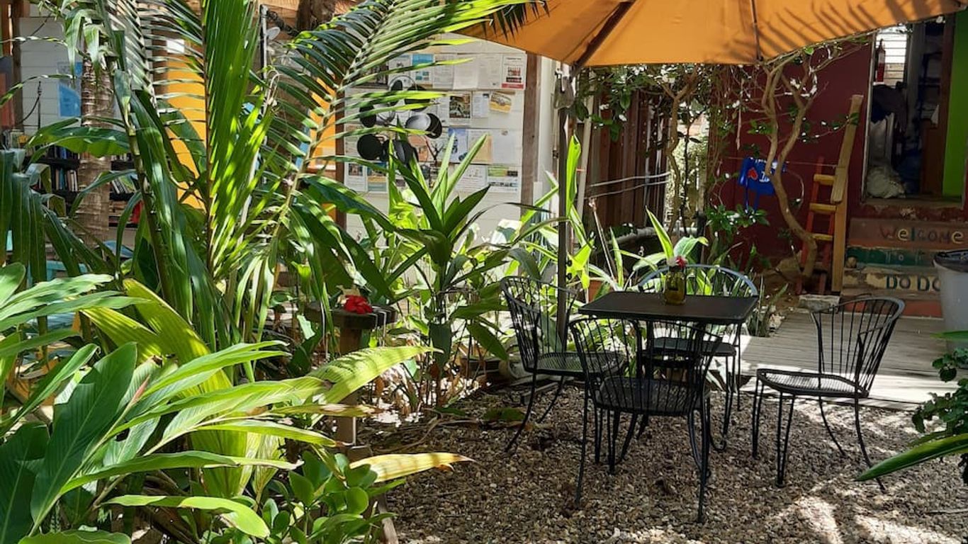 The Funky Dodo Backpackers Hostel