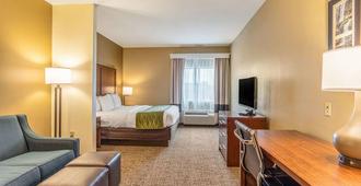 Comfort Inn & Suites Tuscumbia-Muscle Shoals - Tuscumbia - Schlafzimmer
