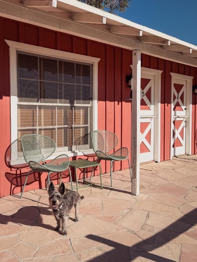Room 5 - Downtown Joshua Tree Motel - Pet Friendly - Walk to Shops & Visitor Center, Minutes to Park Entrance