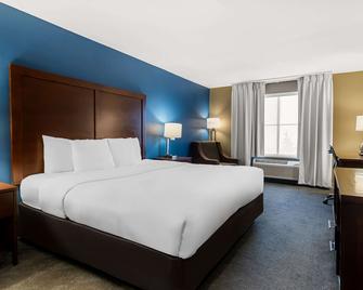 Comfort Inn and Suites near Tinley Park Amphitheater - Tinley Park - Bedroom