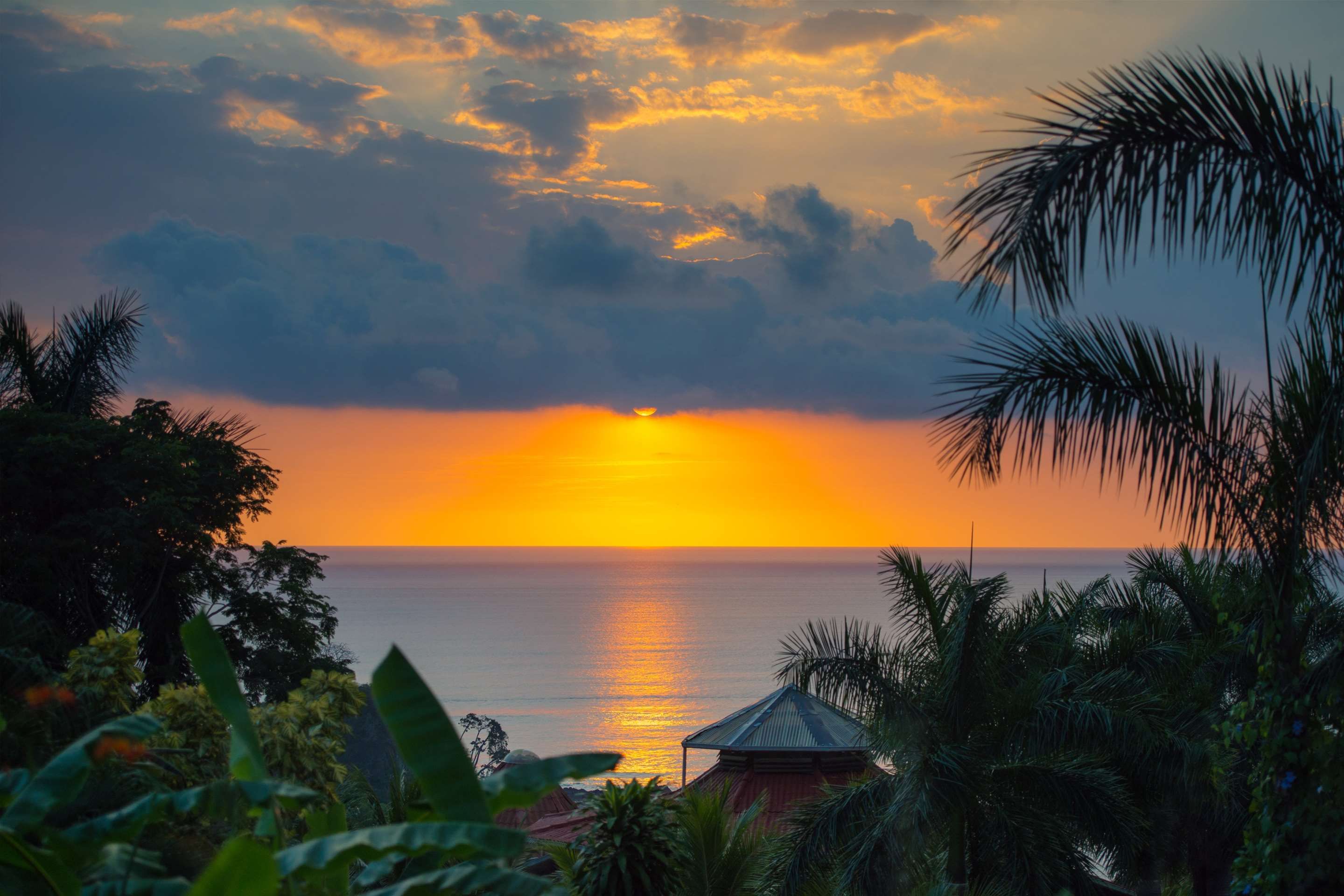 Hotel Casa Chameleon - Adults Only