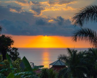 Hotel Casa Chameleon - Adults Only - Cobano - Property amenity