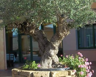 Hotel Baia Marina - Orosei - Outdoor view