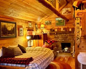 Cozy Cabin In Longmont, Dog Friendly, Near To Cu, Csu, Unc And Rmnp. Wifi, Ac - Longmont - Slaapkamer