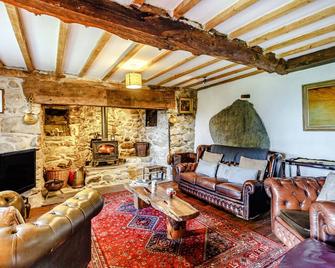 Pant Yr Iwrch, Pet Friendly, With Open Fire In Llanbedr Y Cennin - Conwy - Huiskamer