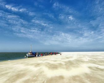 Gud Jard Chalet Nr 18 - Design-Ferienhaus mit exklusiver Ausstattung - Pellworm - Strand