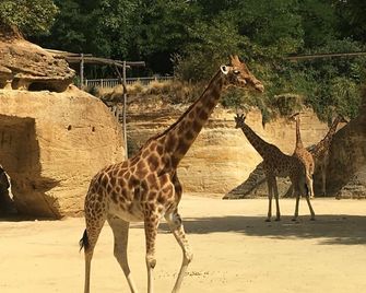 « Chez Annie » - Doué-en-Anjou