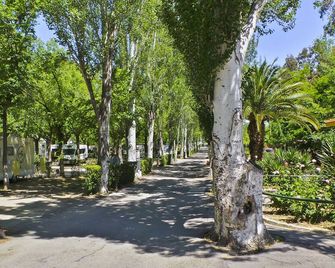 Bungalows Camping Alpha Madrid - Getafe - Buiten zicht