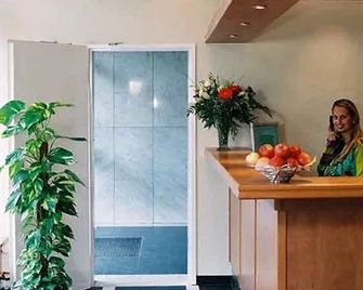 Alleenhof - פרנקפורט אם מיין - דלפק קבלה