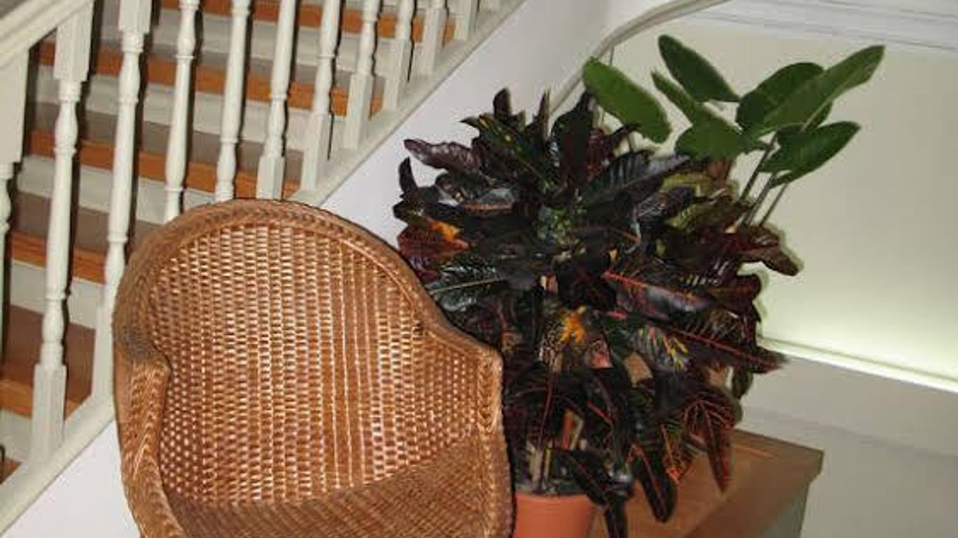 Guest House 31 De Janeiro