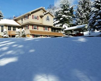 10 bedroom 5 bath mountain home with private in-ground pool. - Champion - Building