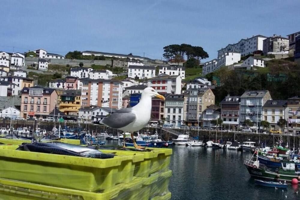 Hotel Puerto de Luarca - Luarca