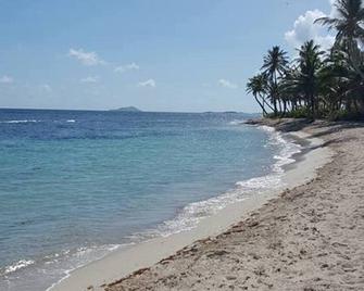 Beautiful Ocean Front Condo- The perfect relaxing getaway! Internet, TV. FLR A/C - Christiansted - Beach