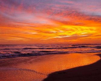 Las Olas Beach Resort - David - Praia