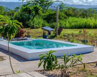 Cashaw Cabin - Private Retreat with a Pool - Treasure Beach - Pool